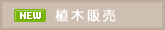 �A�؁E��ؔ̔�