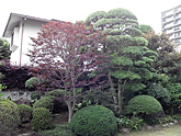 �a���뉀�����A��ʌ������s�A���`�m�L�̒i���虒��