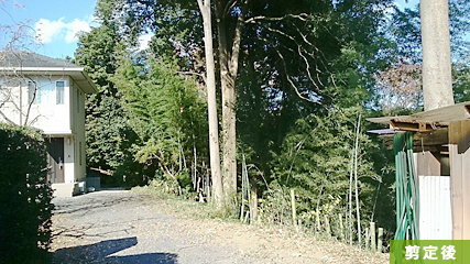 ���̂����|�͑S�ď�������̂ł͂Ȃ��A�|�т�����Ǘ����₷���悤�ɓy���߂Ƃ��ė��p���܂��B