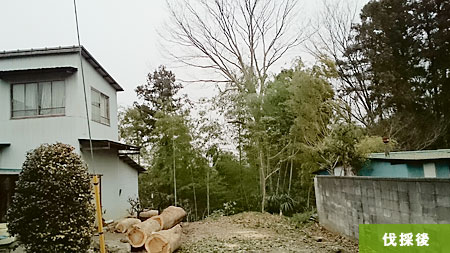 �P���L �����