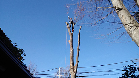 �P���L���������������肵�āA�N���[���ŉ��낵�܂��B