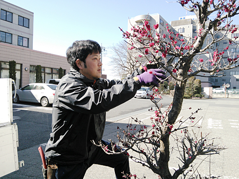 ���������납�玩�R���D���Ŏn�߂���d���A�F�X�ȉ��|�̎��i���������X���������Ă���܂��B