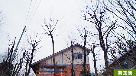 ���̑傫���Ŏ}��܂ř��肷�邽�߃c���[�N���C�~���O�ɂ���Ƃ��܂�