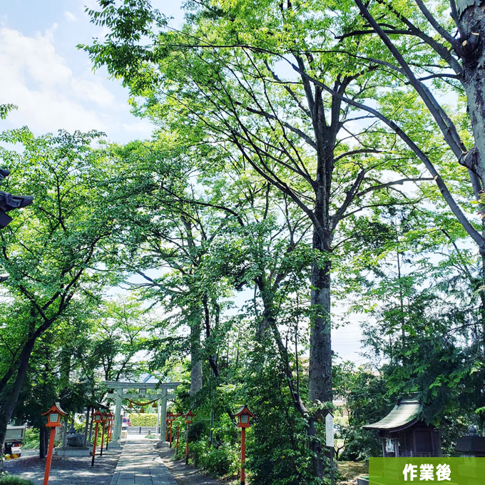 ���������������ŁA�K�x�ɓ��˂�������A���A������؉A�ɂȂ�܂����B����������̑�햡�ł��ˁB
